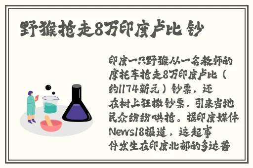 无忧传媒春节回家相亲孟孟