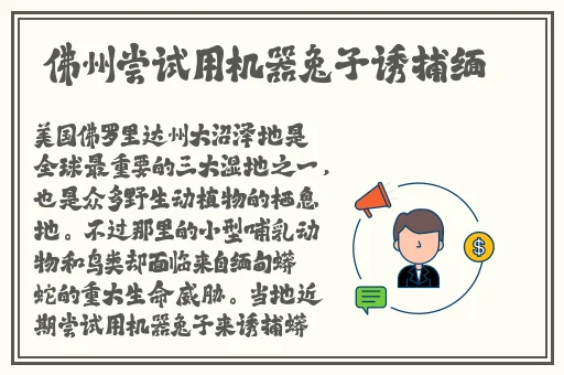 婆岳同床**燕